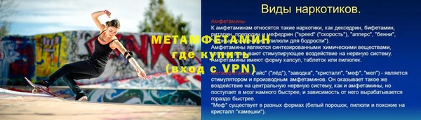 прущие грибы Пестово