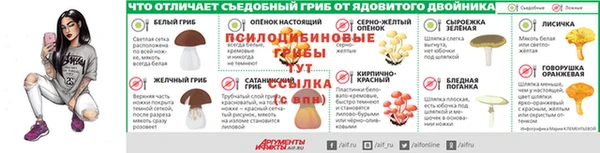 ешки Алексеевка