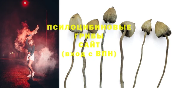 МДПВ Алзамай