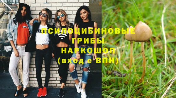 МДПВ Алзамай