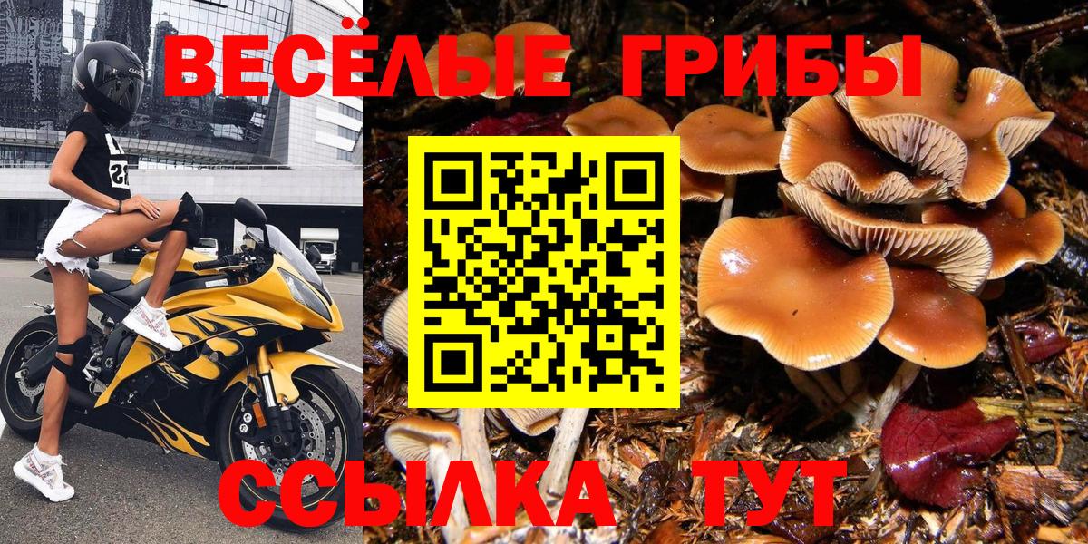 Псилоцибиновые грибы прущие грибы  Вход с VPN  Учалы 